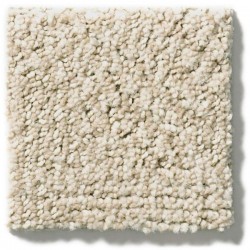Parchment