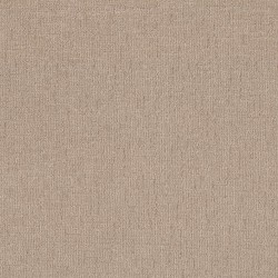 Wayfarer - Mystic Beige