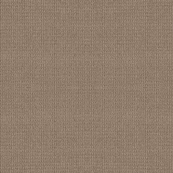PLAZA TAUPE