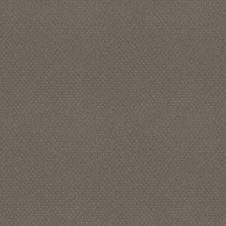STILL GRAY