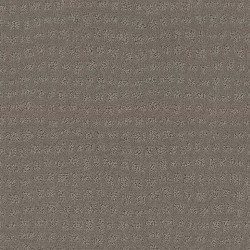 STILL GRAY