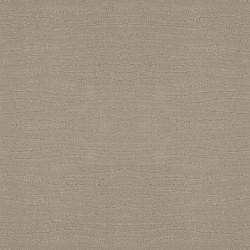BIT OF GRAY