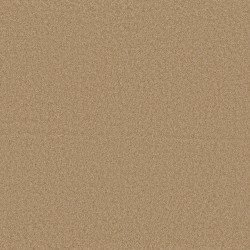 Winter Wheat