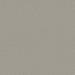 Moth Gray