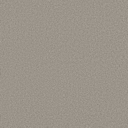 Moth Gray