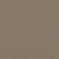 Somerset - Chic Taupe