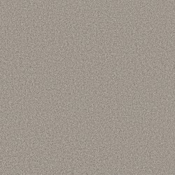 Moth Gray