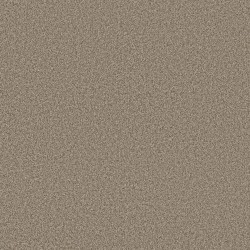 Chic Taupe