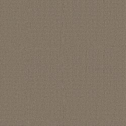 Taupe Gray