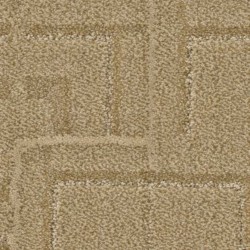 Path - Tatami