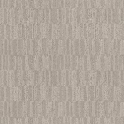 Vicuna