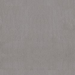 Classic Gray