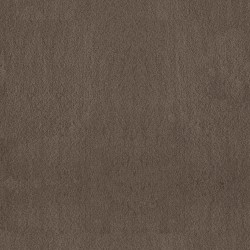 Mesquite