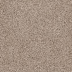 Toasted Grain