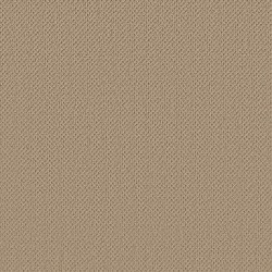 Safari