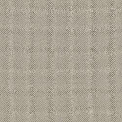 Pumice Stone