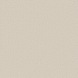 Parchment