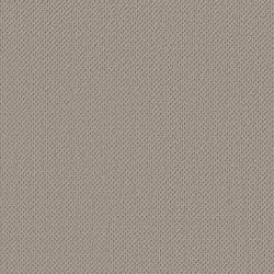 Lady In Gray