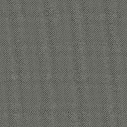 Smoky Gray