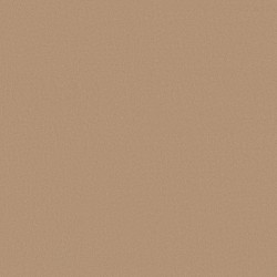 Baked Beige