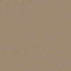 Desert Dune