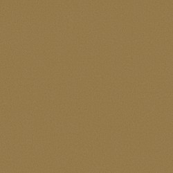 Gold Coin