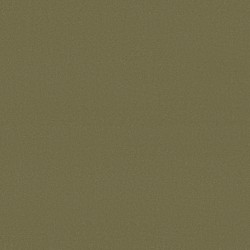 Tate Olive