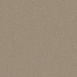 Crisp Khaki