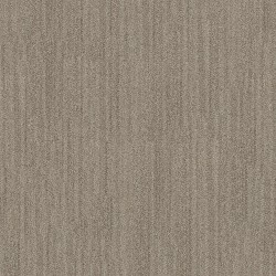 Driftwood color swatch