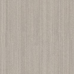 Ash color swatch
