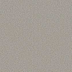 Platinum color swatch