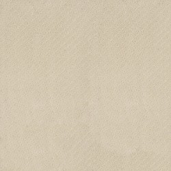 Buff Ivory color swatch