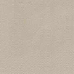 Canvas color swatch