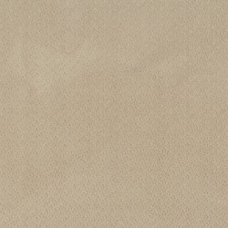 Sand color swatch