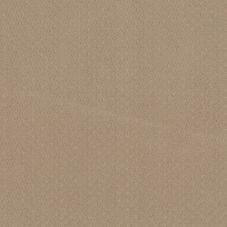 Warm Beige color swatch