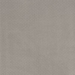 French Grey color swatch