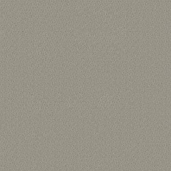 Stone Path color swatch