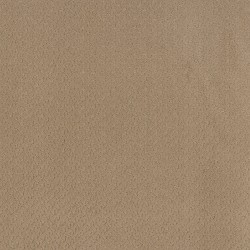 Honey color swatch