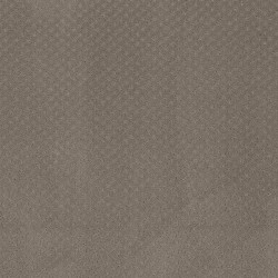 Taupe color swatch