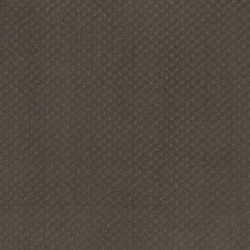 Mocha color swatch
