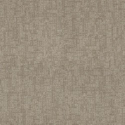 Barn Owl color swatch