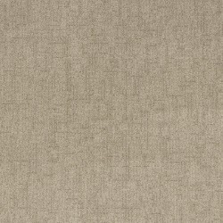 Soft Tan color swatch