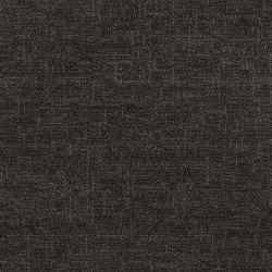 Ebony color swatch
