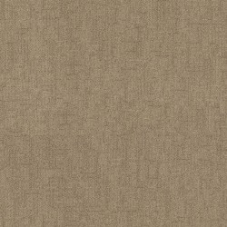 Canyon color swatch