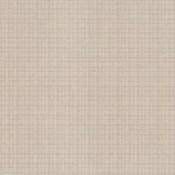 Parchment color swatch