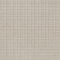 Arctic Hare color swatch