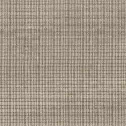 Barn Owl color swatch