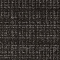 Ebony color swatch
