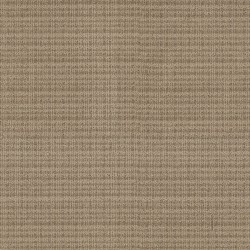 Canyon color swatch