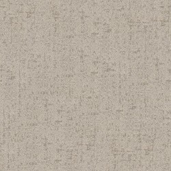 Silverglass color swatch